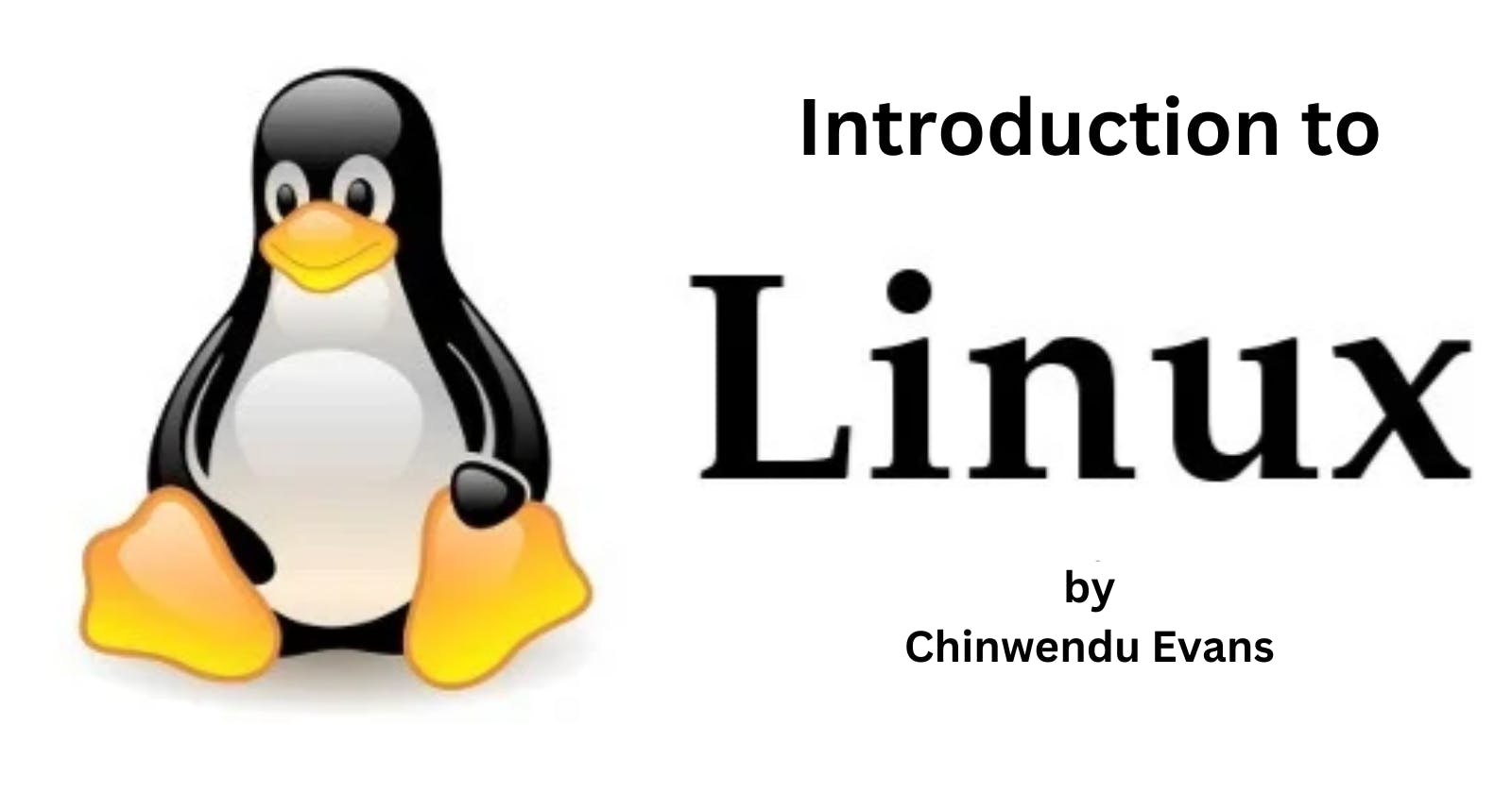 Unlocking the Vault: A Comprehensive Beginner's Guide to Linux