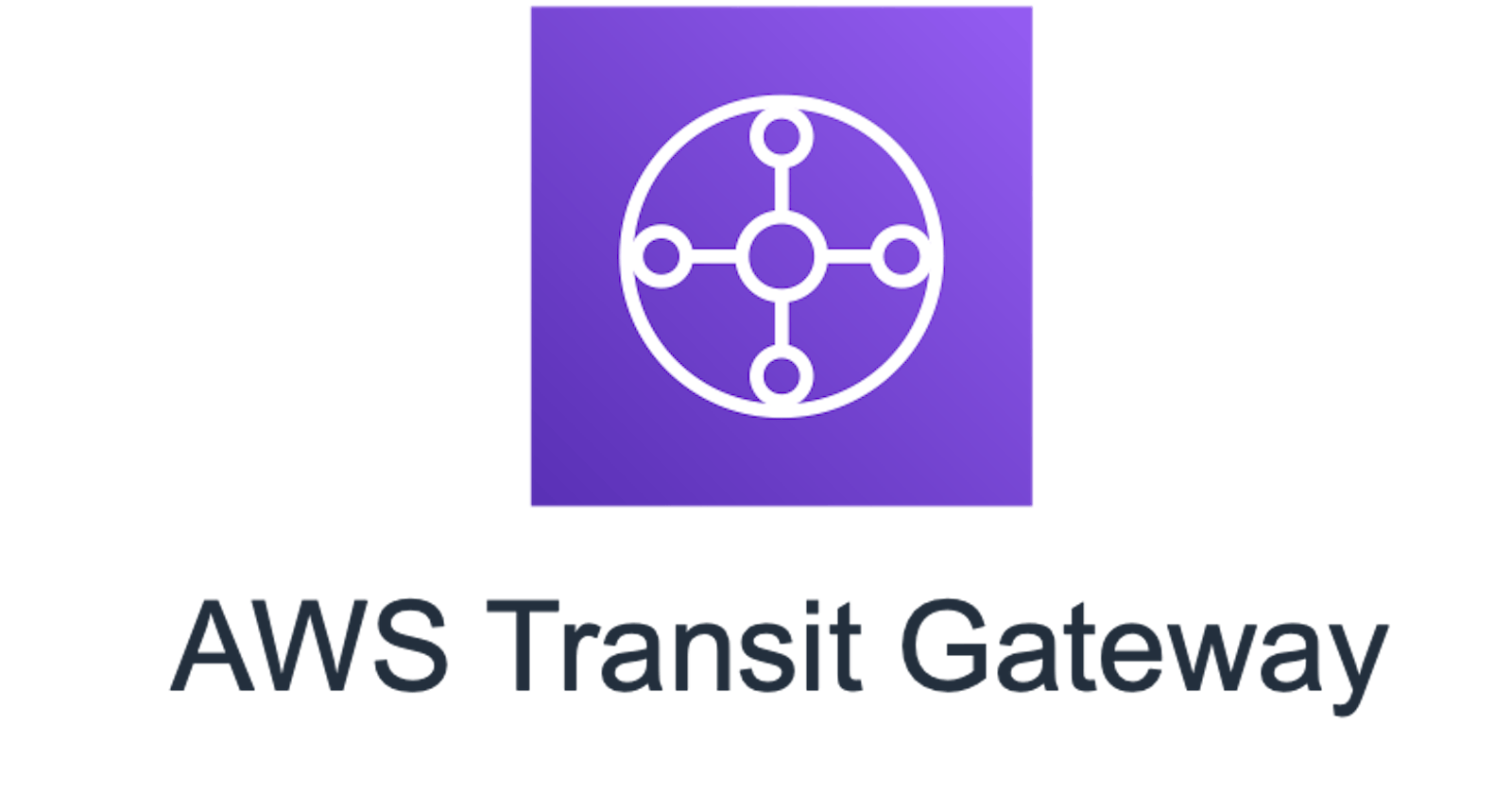 Transit Gateway: Single internet exit point from VPCs of multiple AWS accounts