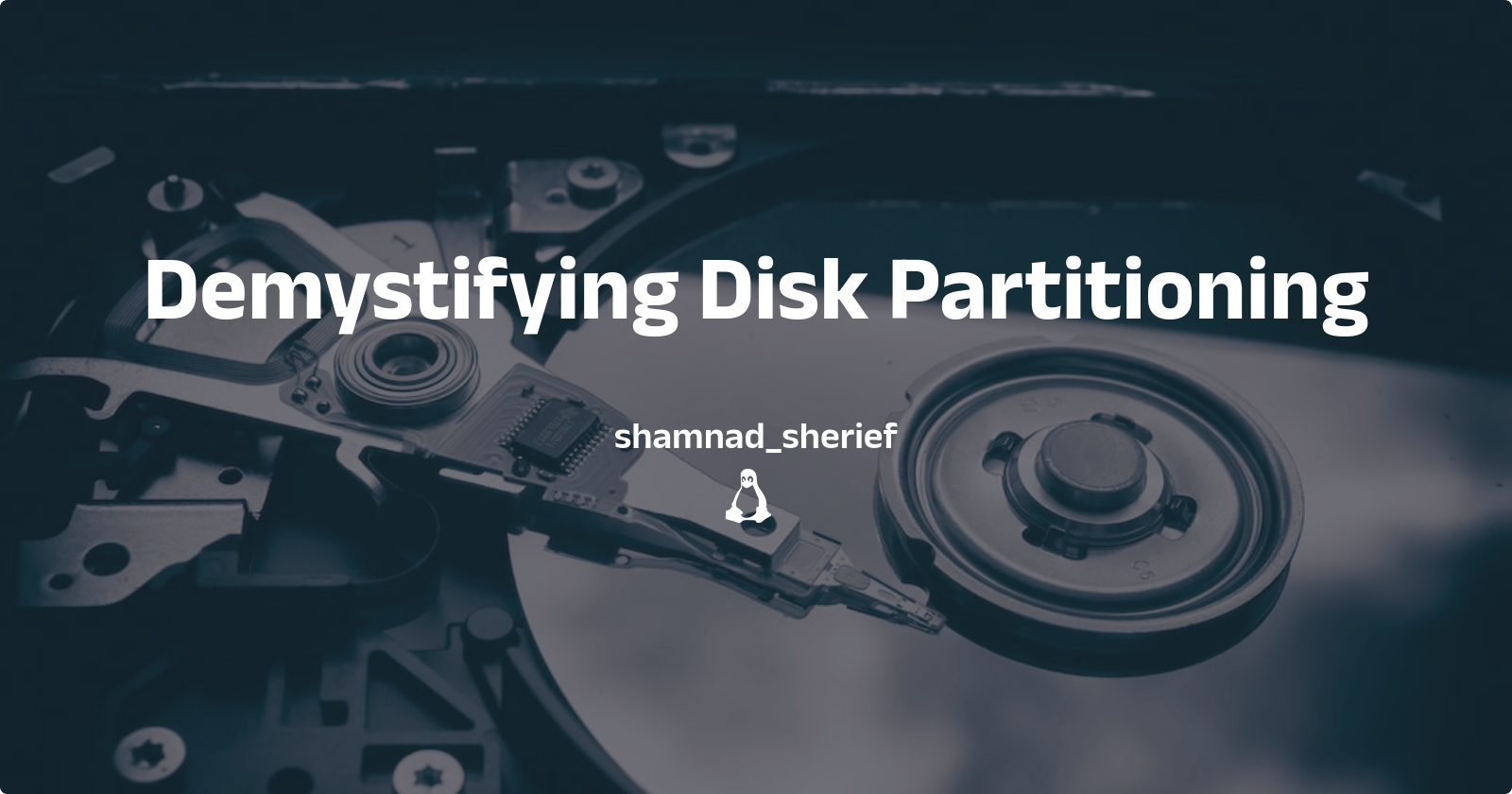 Disk Partitioning in Linux