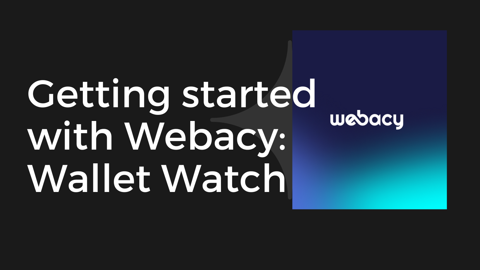 Getting started with Webacy: Wallet Watch