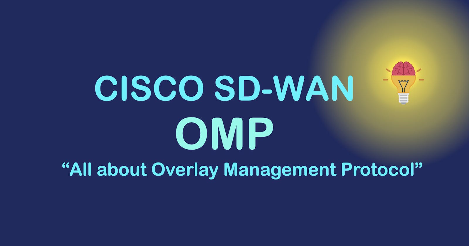 [Part 8] Cisco SDWAN - Overlay Management Protocol