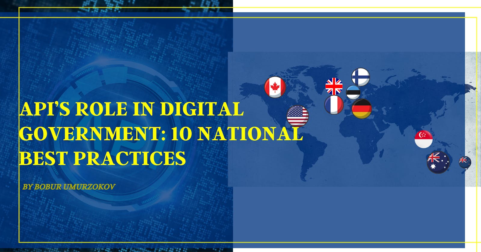 API’s role in digital government: 10 national best practices