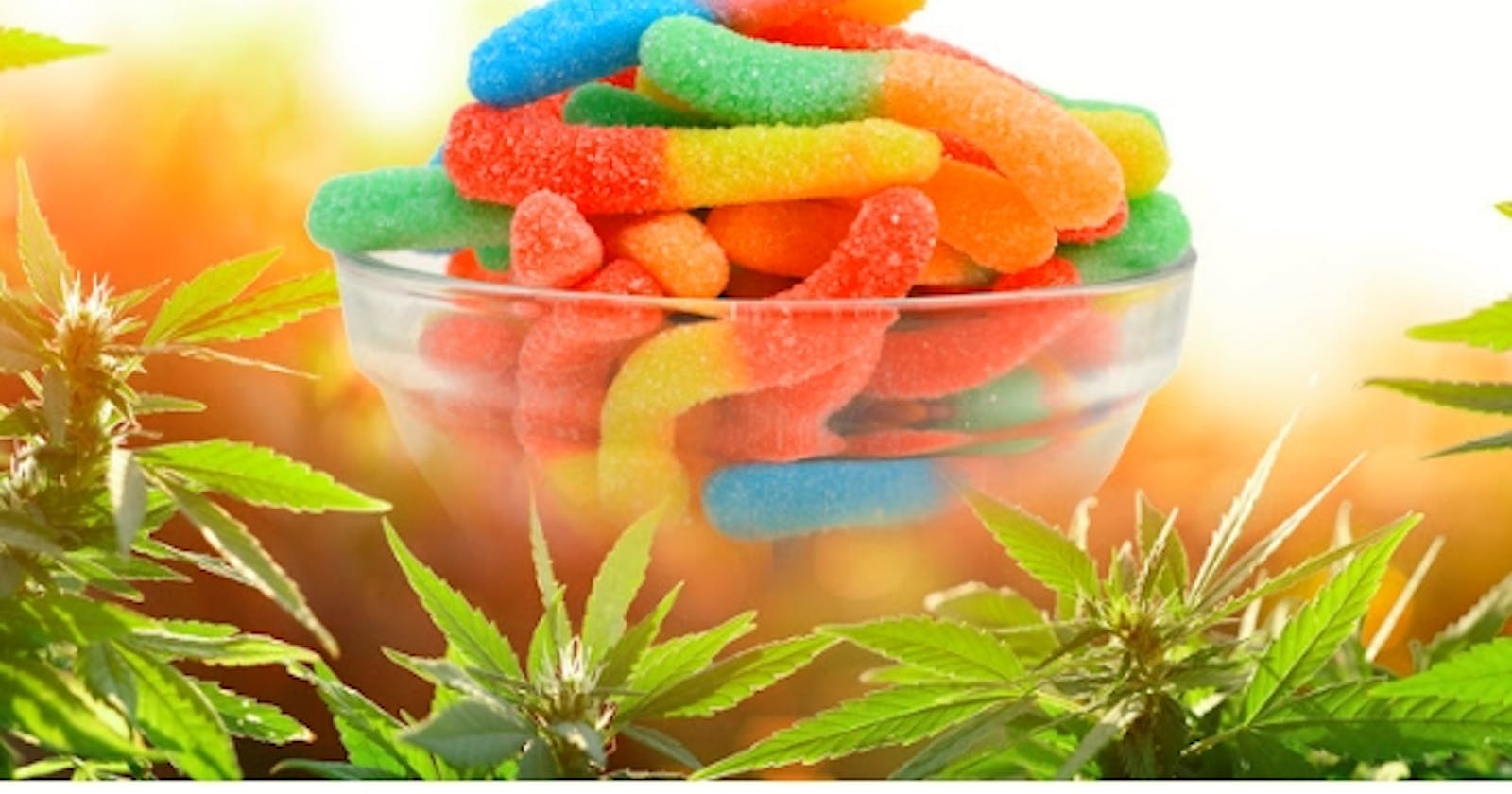 Mylyfe CBD Gummies 
Get Relief Anxiety, Stress, Reduce Muscle & Joint Pain, Where To Buy?