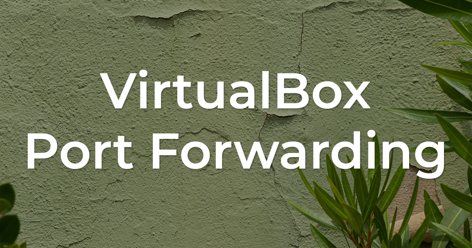 Mastering Port Forwarding in VirtualBox: Unlocking Connectivity