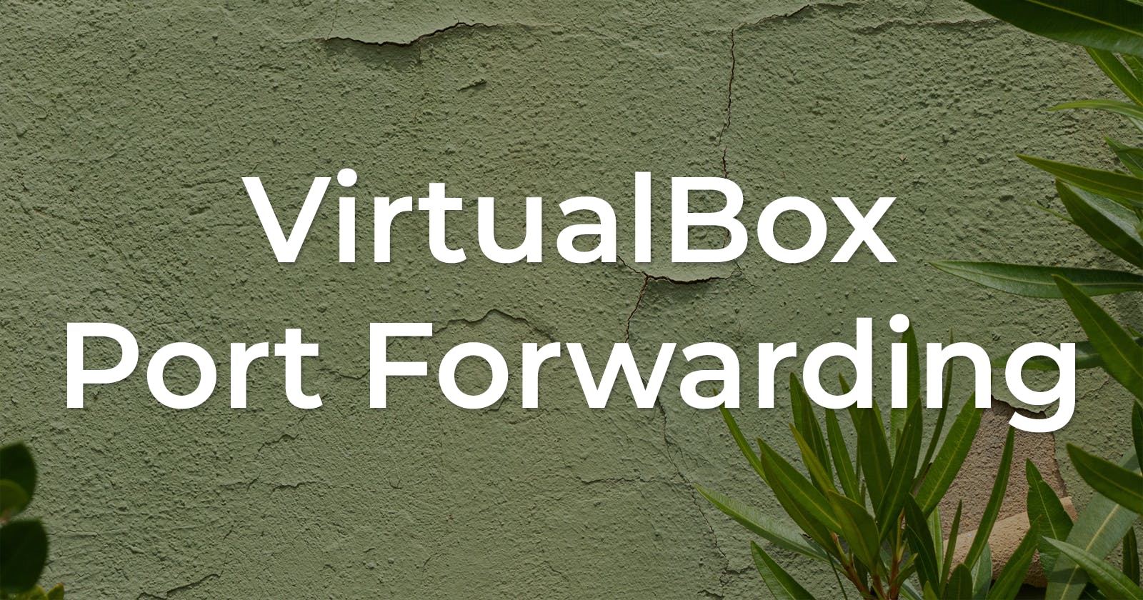 Mastering Port Forwarding in VirtualBox: Unlocking Connectivity