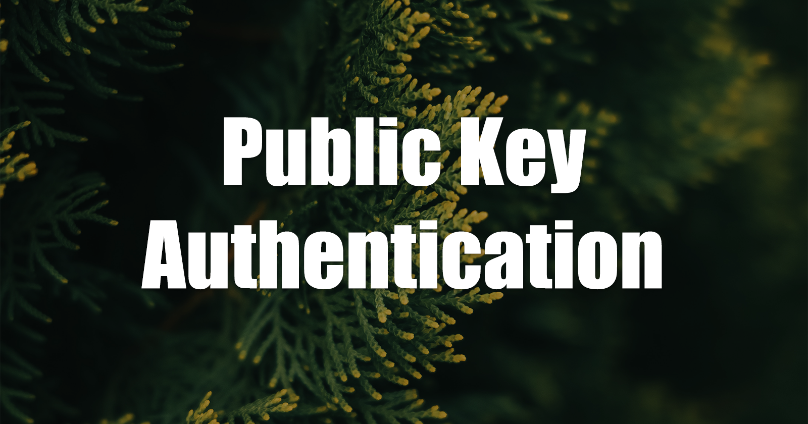 Unlocking the Power of Public Key Authentication in OpenSSH: A Comprehensive Guide