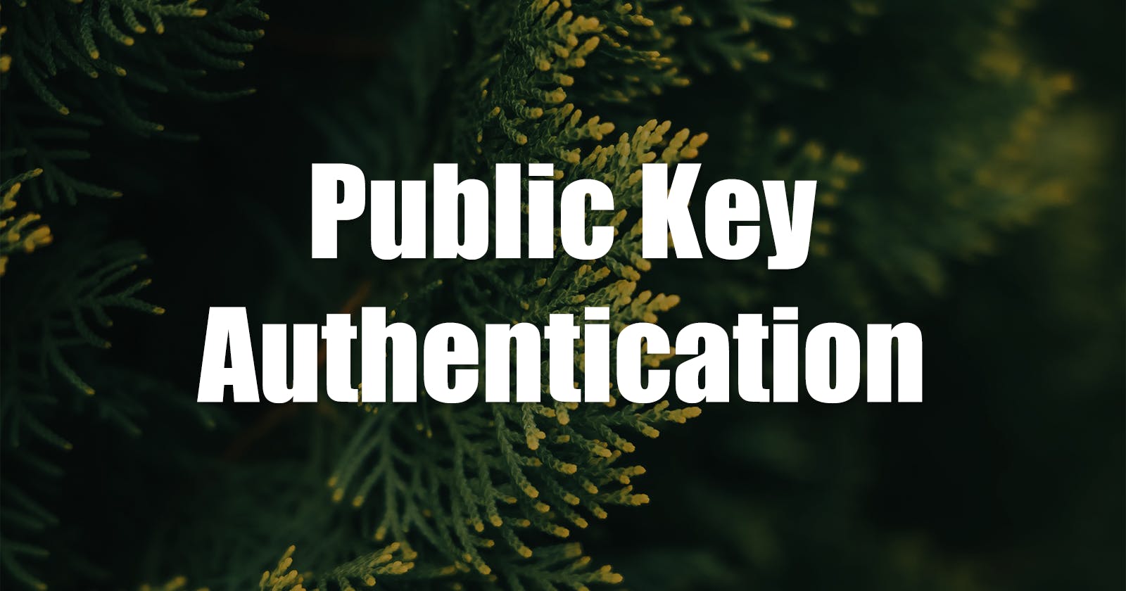 Unlocking the Power of Public Key Authentication in OpenSSH: A Comprehensive Guide