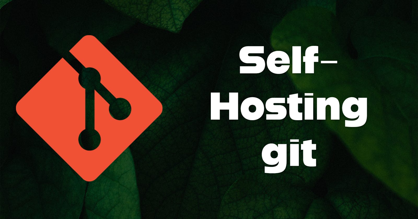 Step-by-Step Guide: Setting Up a Git Repository Hosting Server