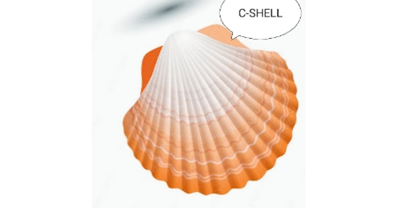 Start creating a shell in c-programming