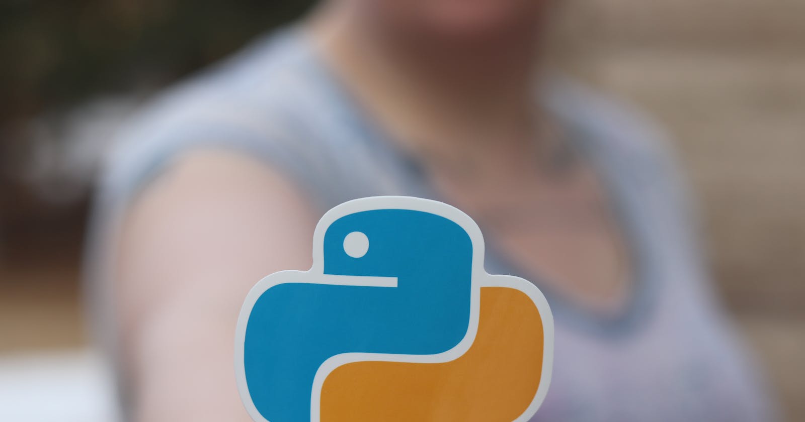 A Beginner's Guide to Python Programming