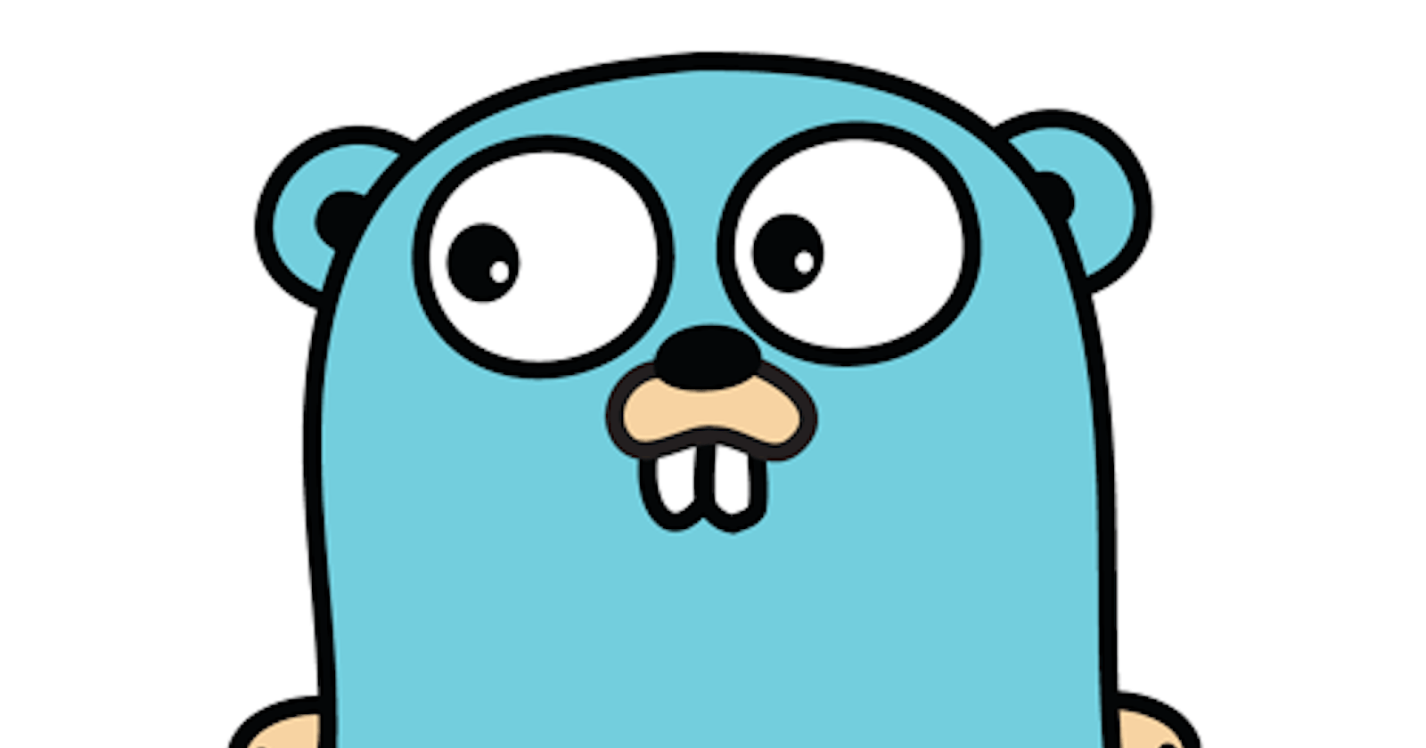 Functional Options in GoLang
