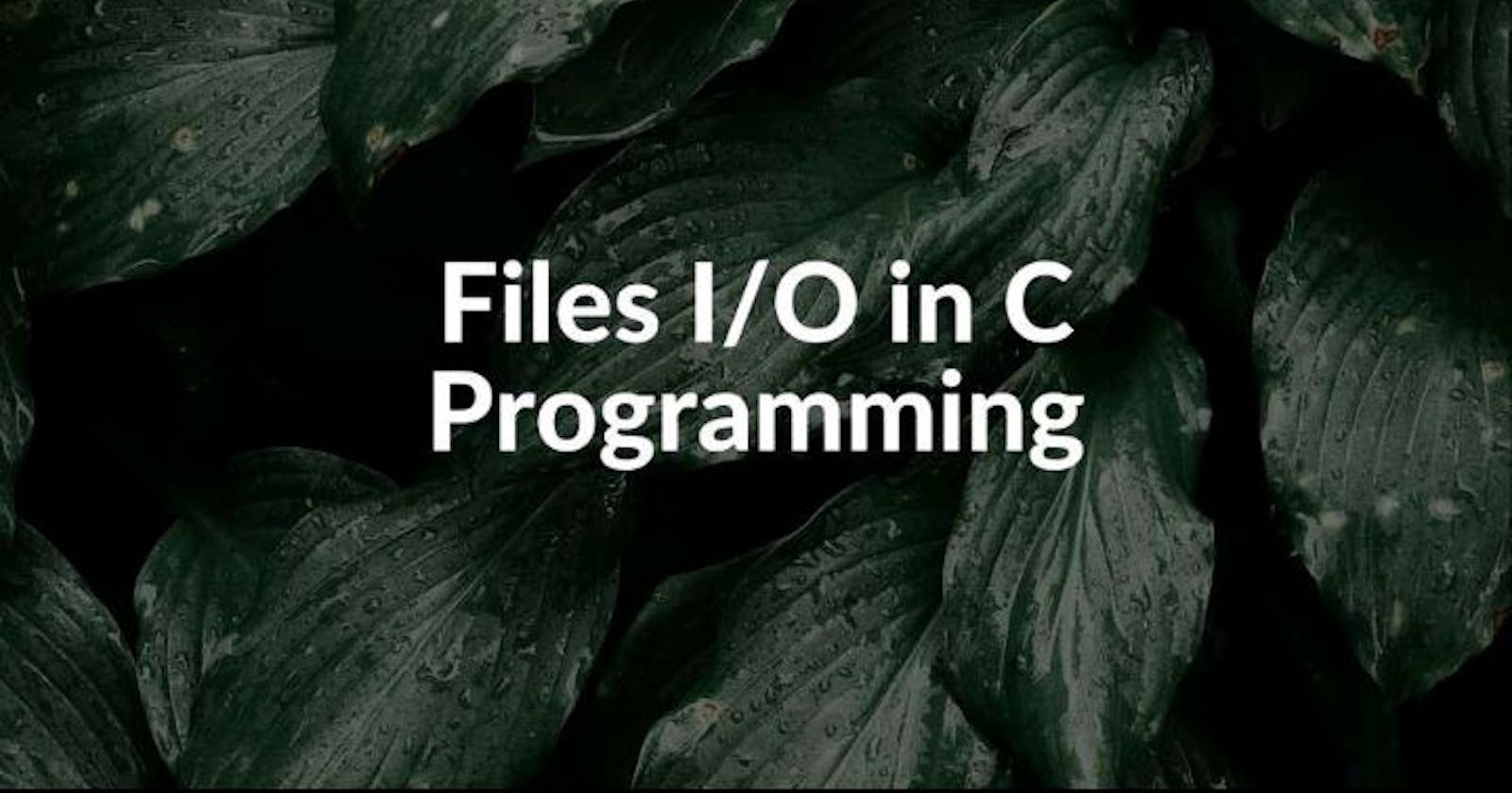 File I/O: How to Open, Write, and Close a File