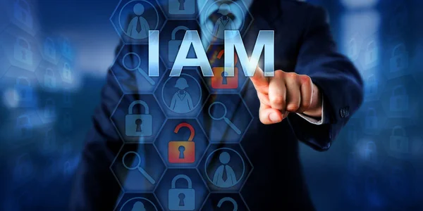 IAM - web service