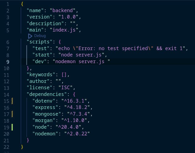 package.json()