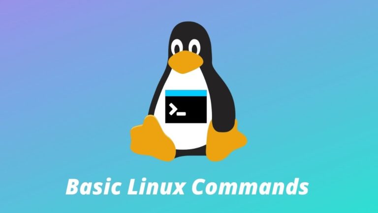 Day 2 Task: Basics linux command