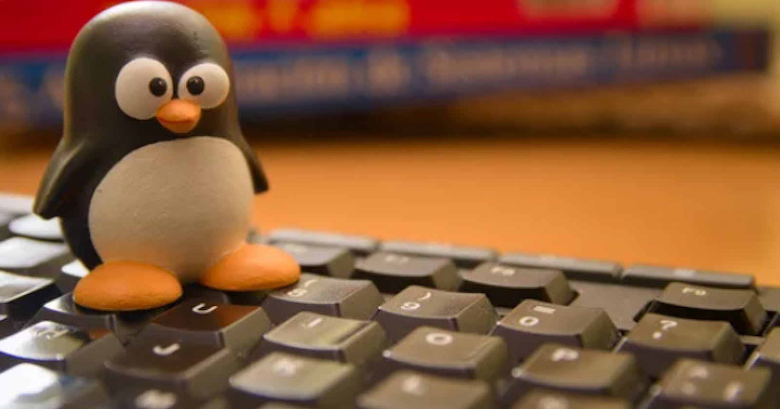 Day 2: Introduction to Linux | Mastering Linux Basics with Essential Commands