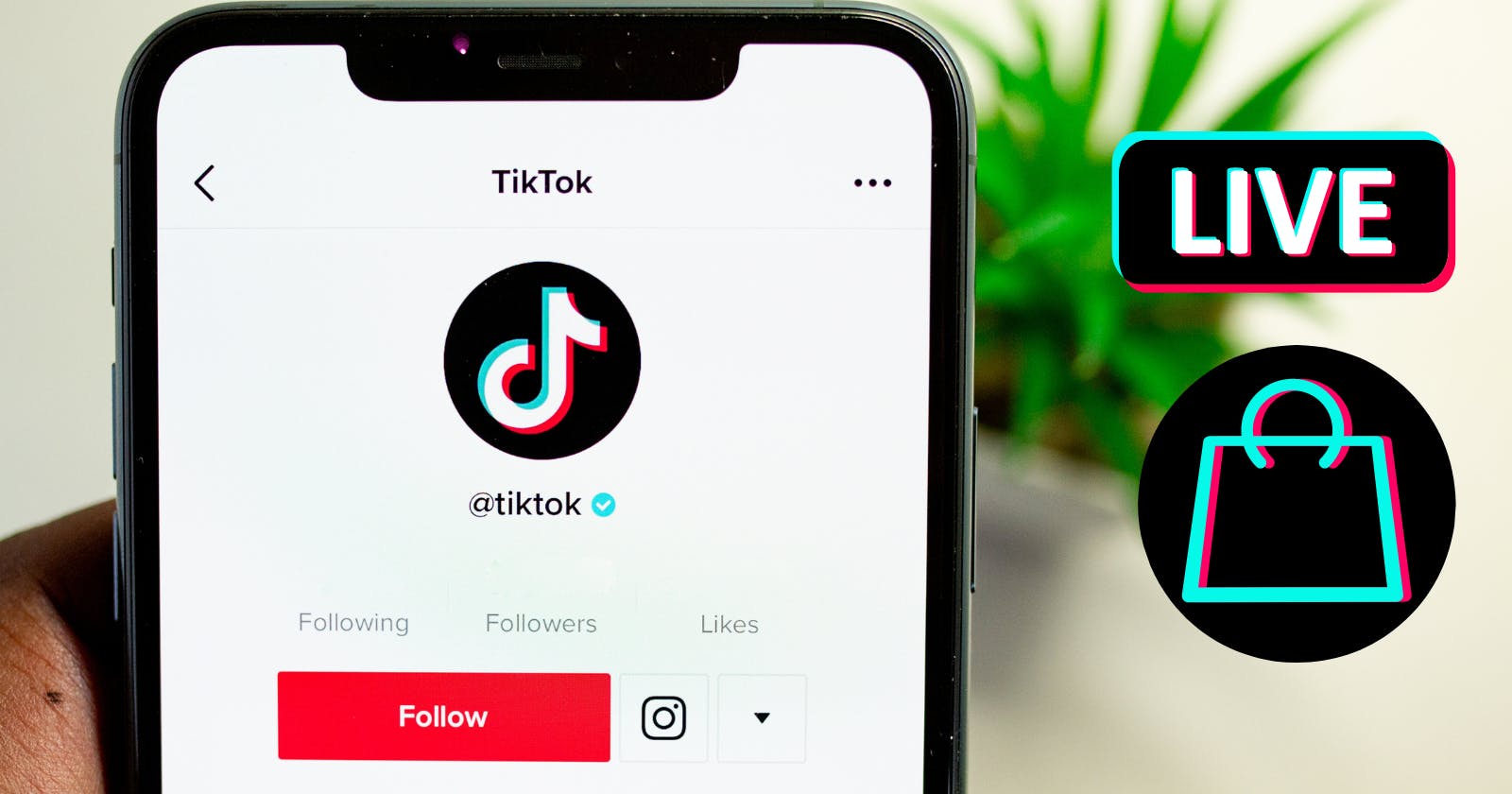 Overview & Insights for  TikTok Shop