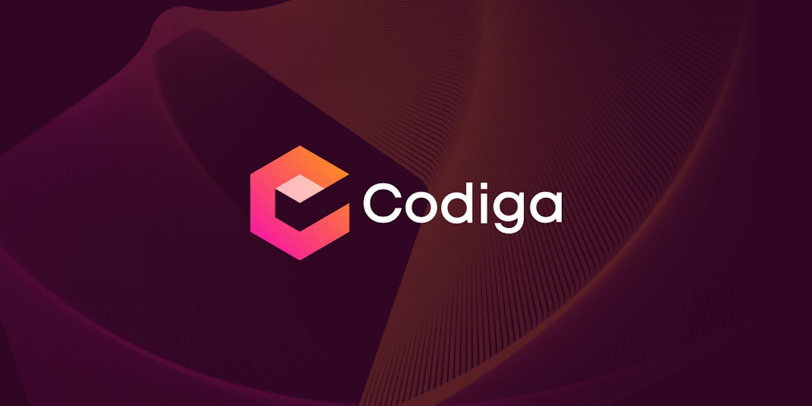 Write Cleaner Programs with Codiga.