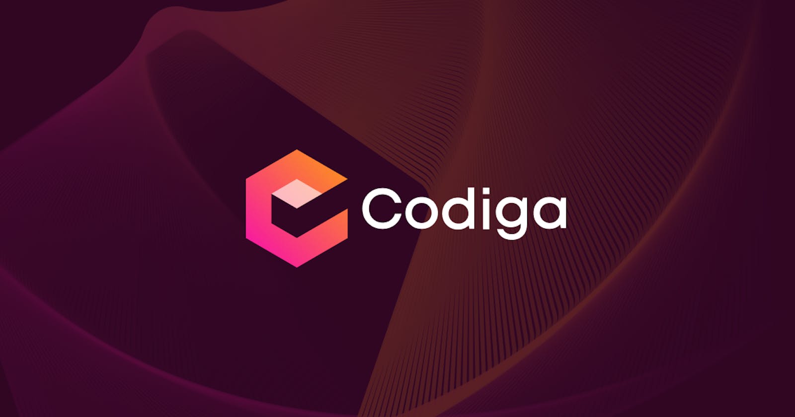Write Cleaner Programs with Codiga.