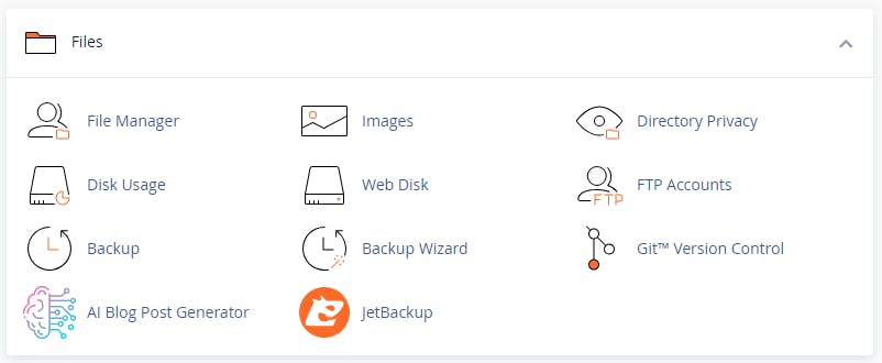 Cpanel File Manager Section