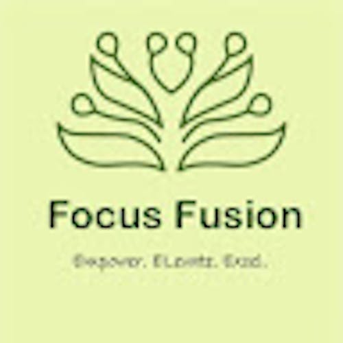 Focus Fusion's blog