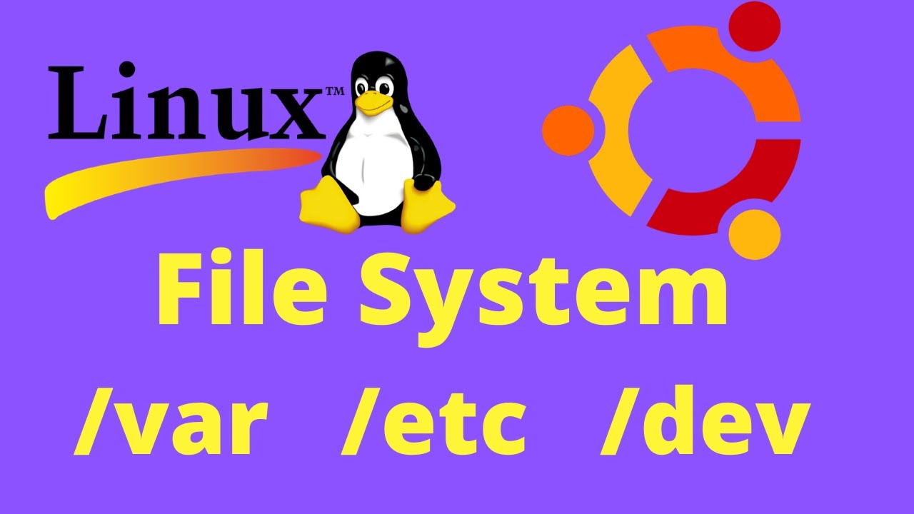 Mastering Essential Linux Commands for DevOps | Day 3 of 90 Days of DevOps Journey  🚀💻