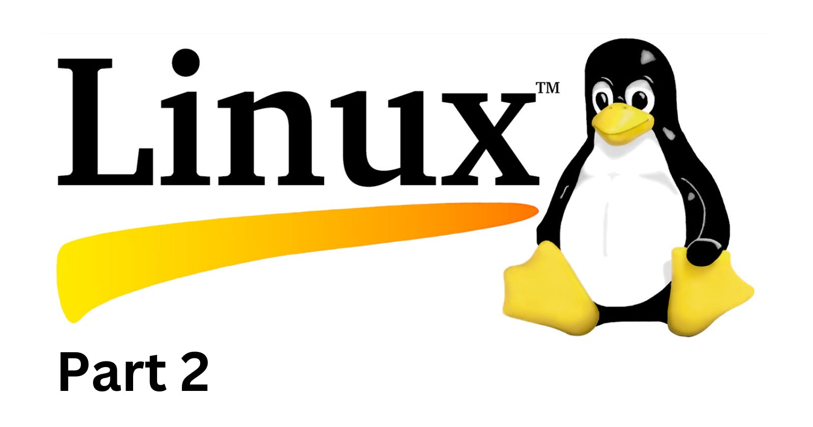 Exploring Basic Linux Commands (Part 2)
