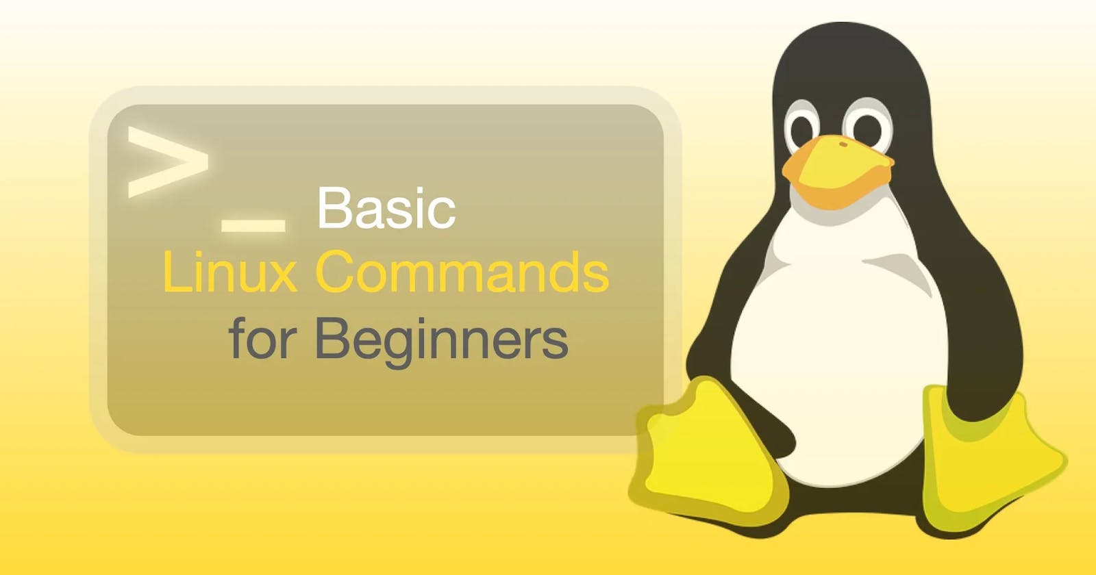 DAY-3 Basic Linux Commands