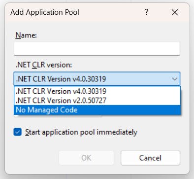 IIS Application Pool No Managed Code