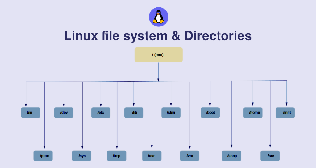 Day 5: Linux - File System Hierarchy