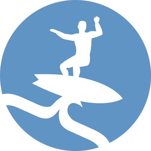 API surfer