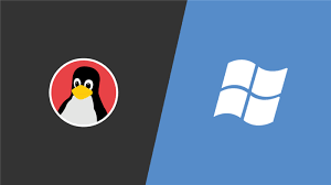 Difference between Windows and Linux