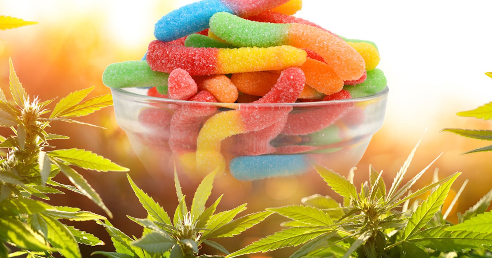 Zerenity CBD Gummies Canada Shocking Reviews: Cost Revealed, Must Check Scam Before Buying Is It Worth For You Or Scam Shocking Report Reveals?
