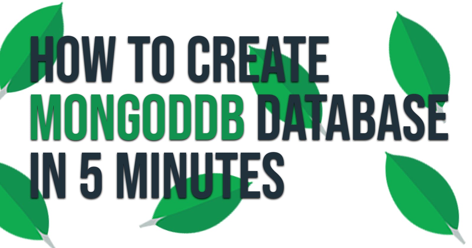 How to create a MongoDB database in 5 minutes
