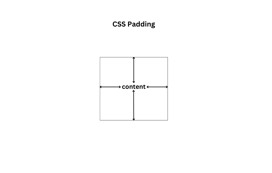 CSS Margins, Padding, and the Box Model