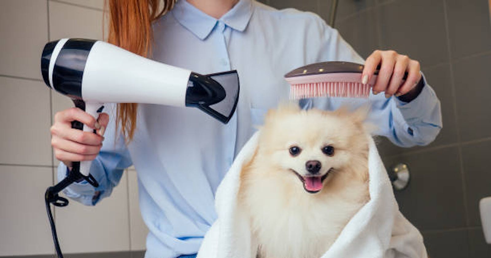 Affordable Dog Grooming in Dubai for Your Pet