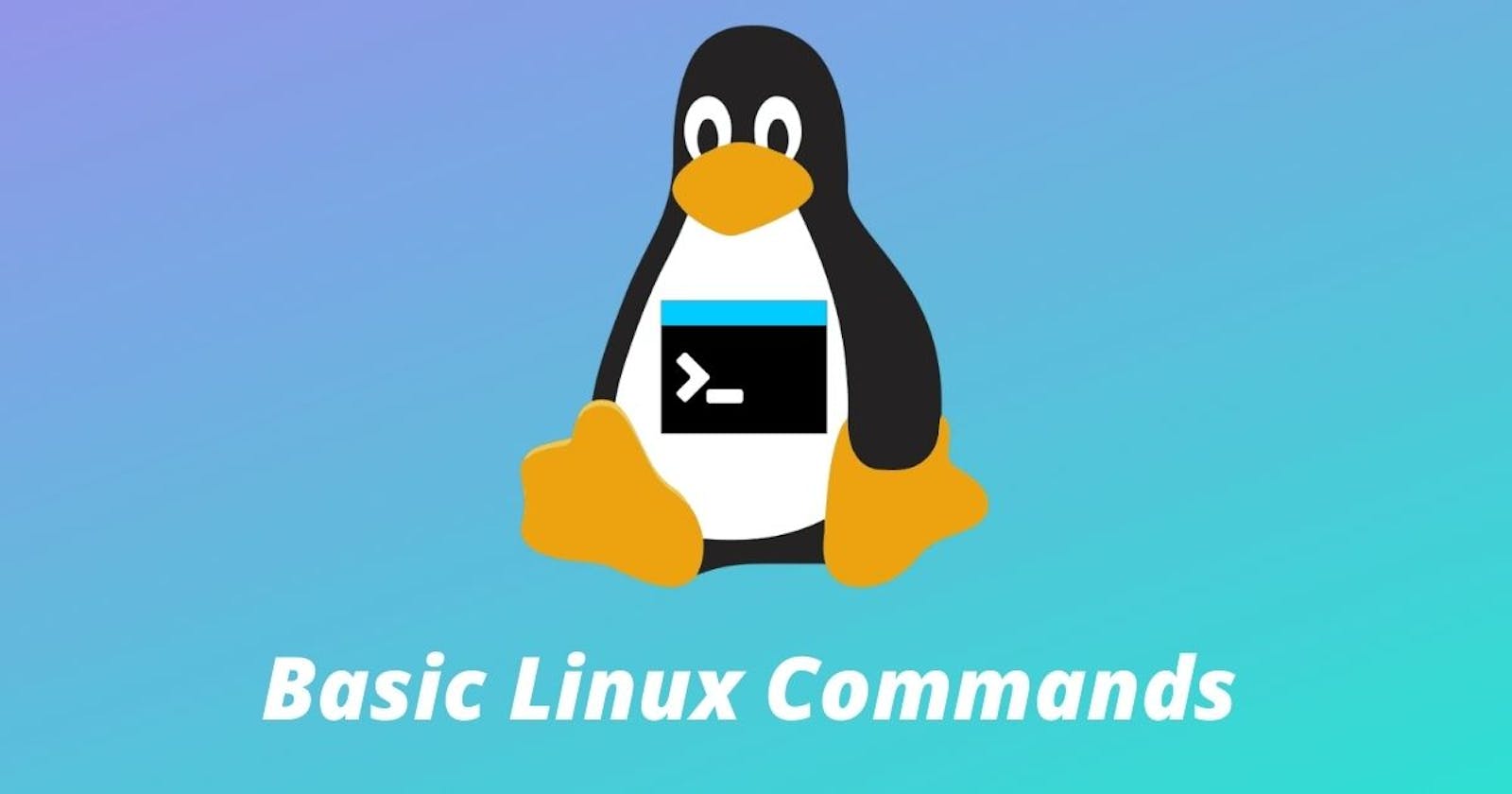 Basic Linux Commands (Linux in Daily Routine)