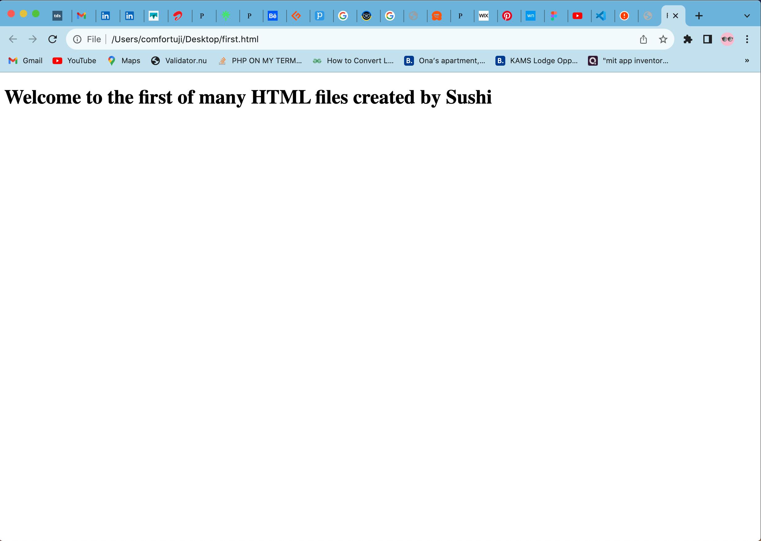  First HTML website code rendered II
