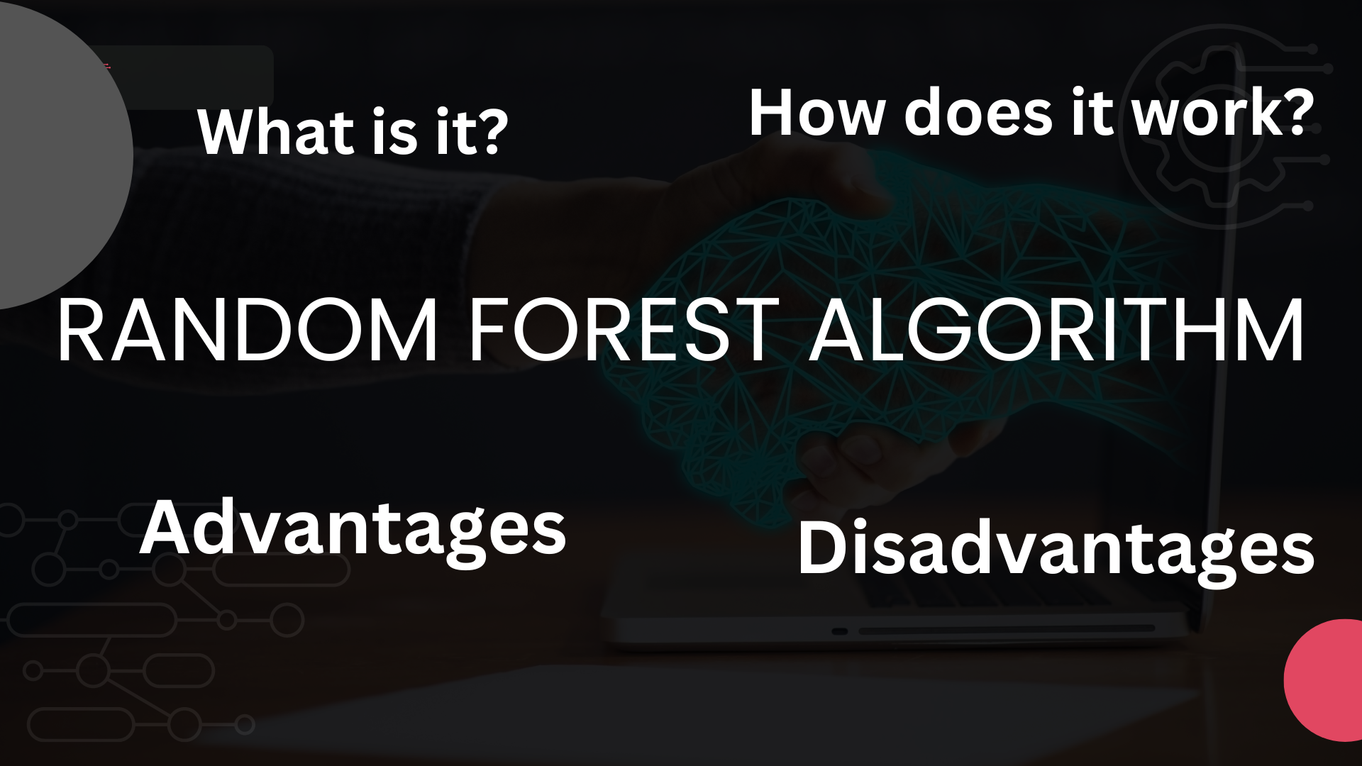 The Random Forest Algorithm: A Beginner's Guide