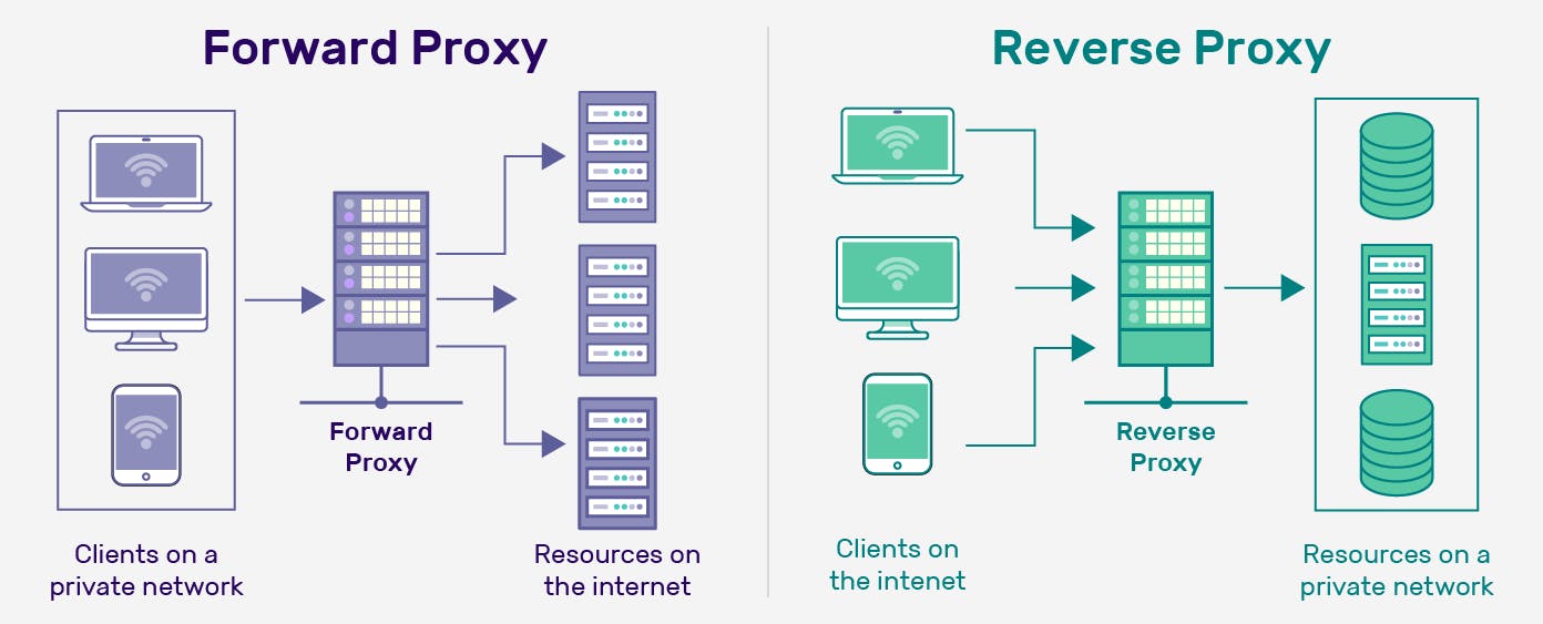 Forward and Reverse Proxy Image