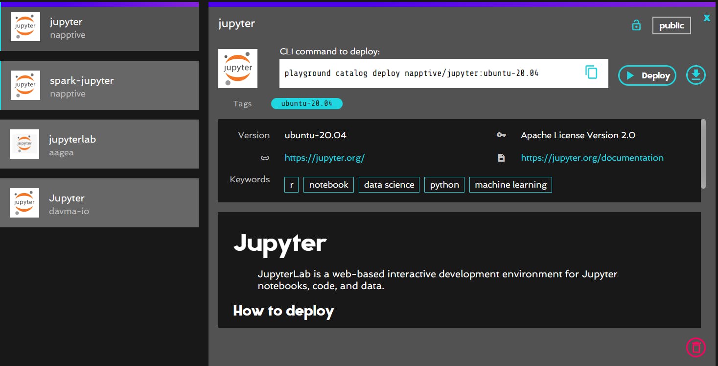 Screenshot of the Jupyter image on the Napptive catalog