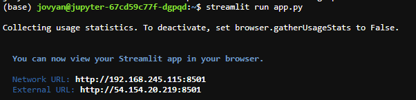 Screenshot of the output when you get "streamlit run app.py"