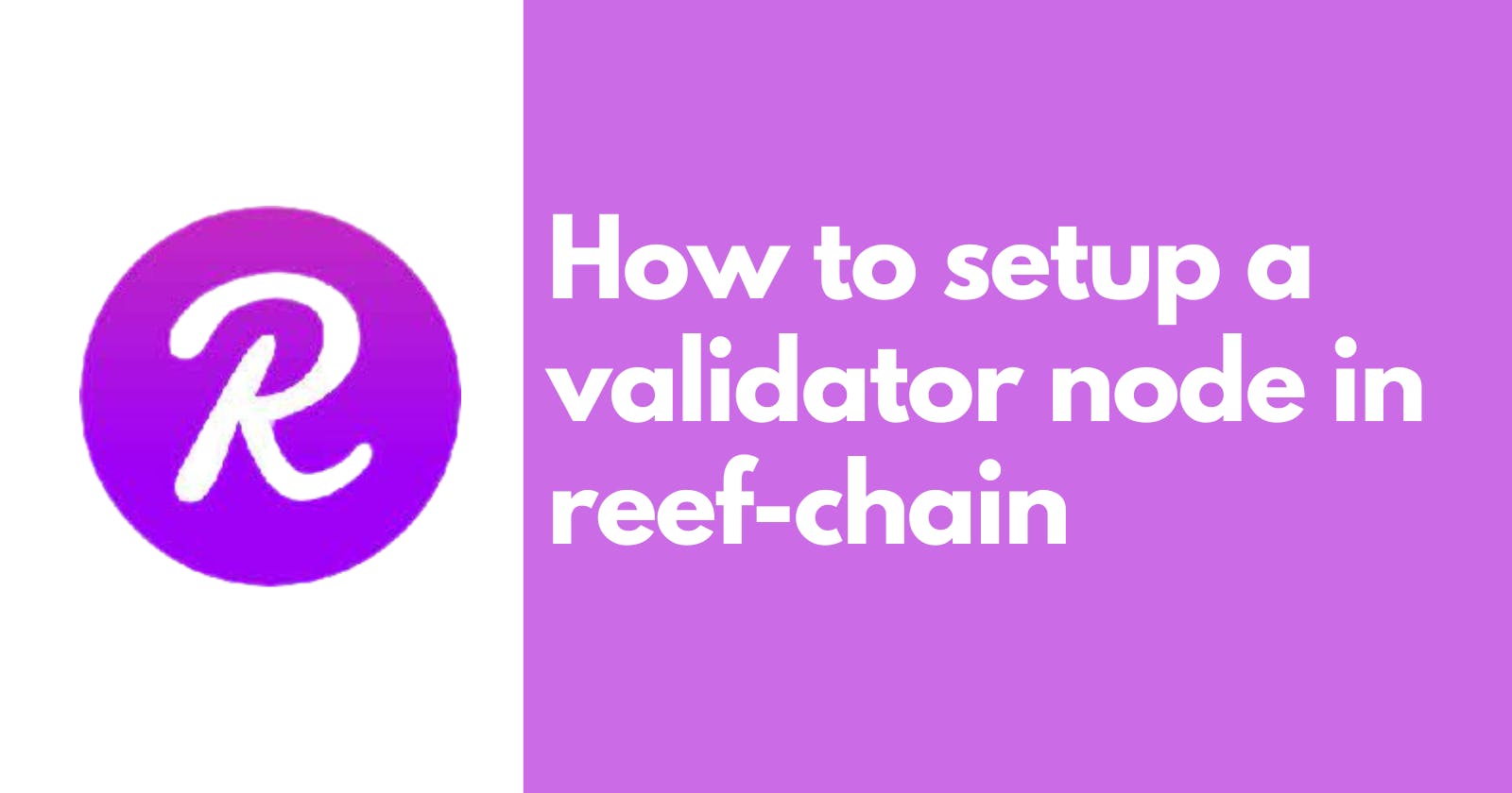 Beginners guide: How to setup a validator node in reef-chain