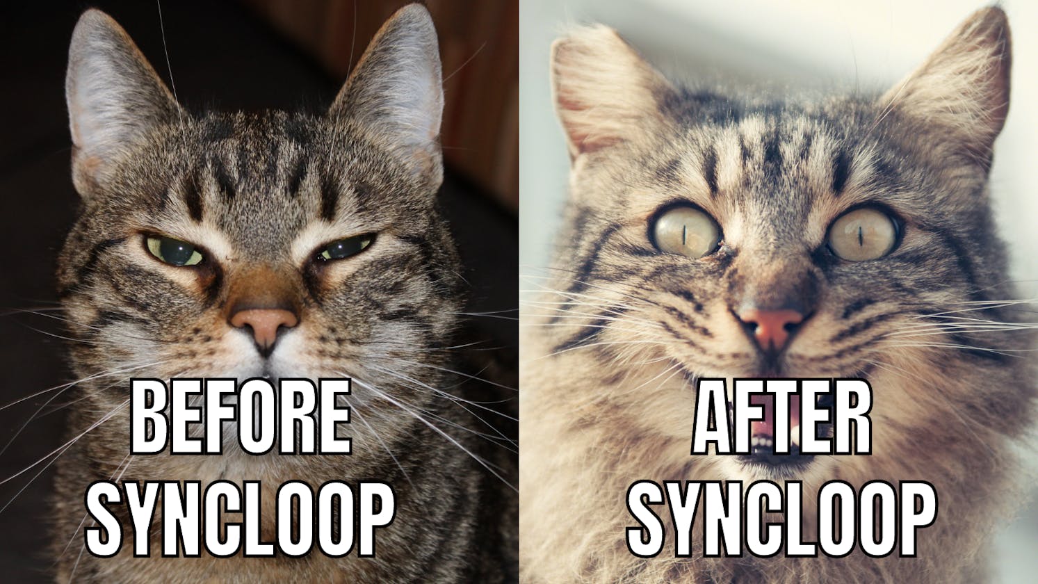 Making API development faster with Syncloop