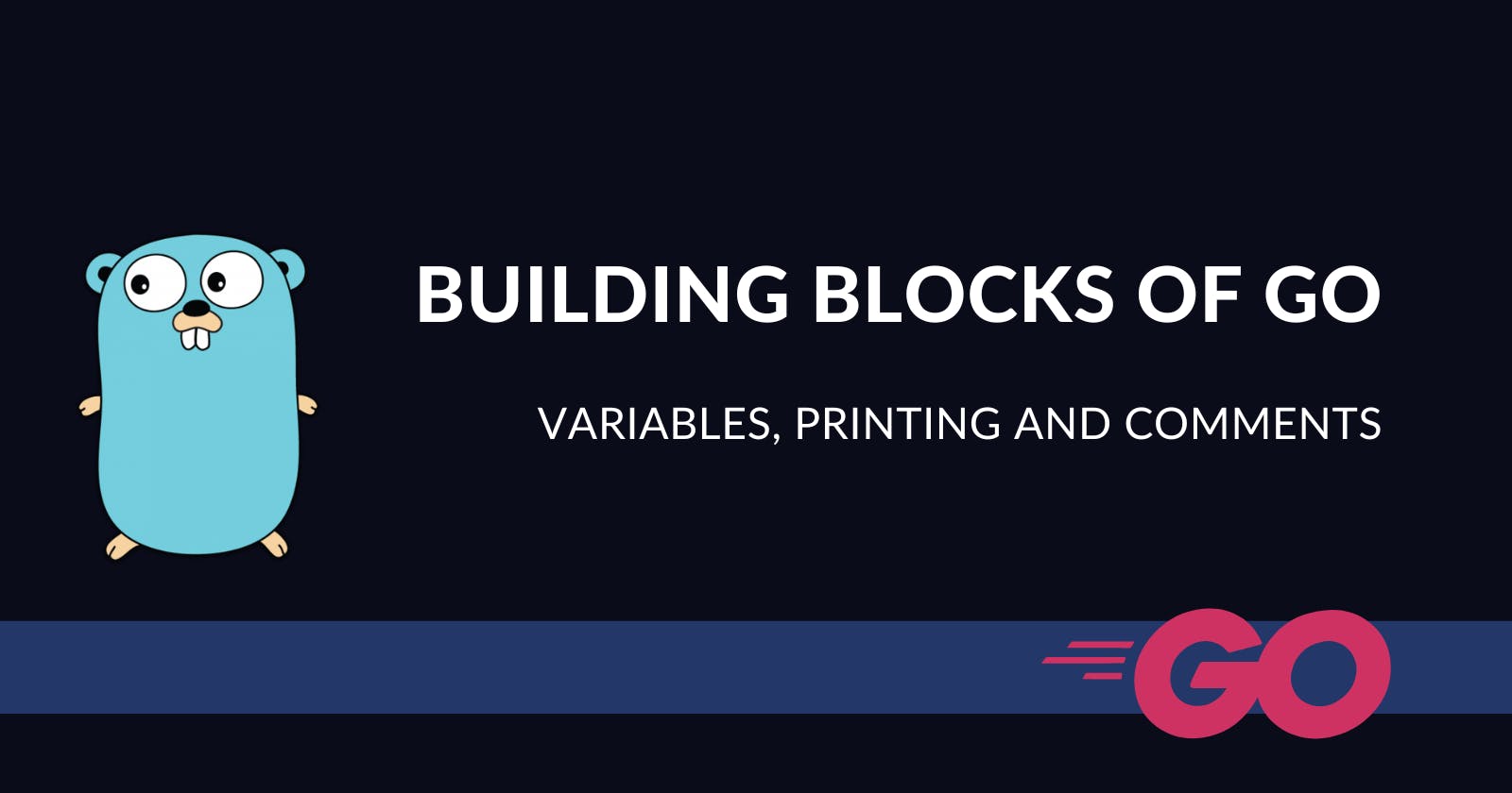 Building Blocks of Go: Variables and Comments (Blog 3 of the Go Series)