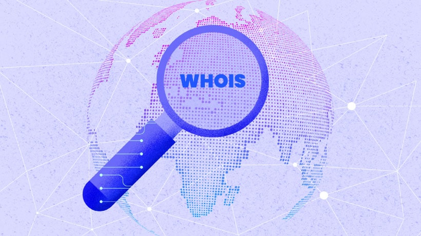 Unlocking the WHOIS Mystery: Streamlined Domain Data Access