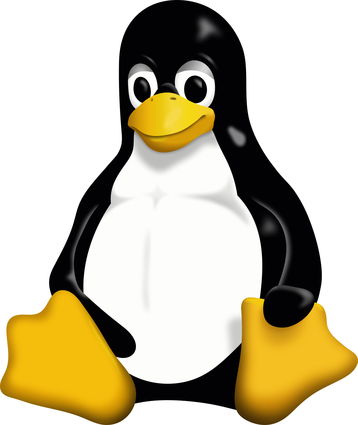 Linux Advance Commands