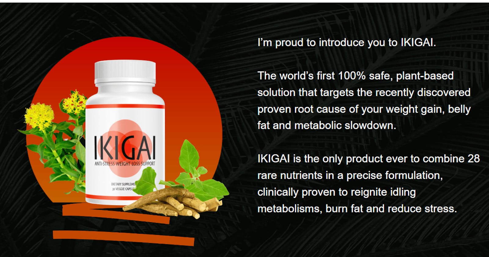 Ikigai Weight Loss' Reviews [Fact Check] Report!! *Shocking Discovery* Customer Results?