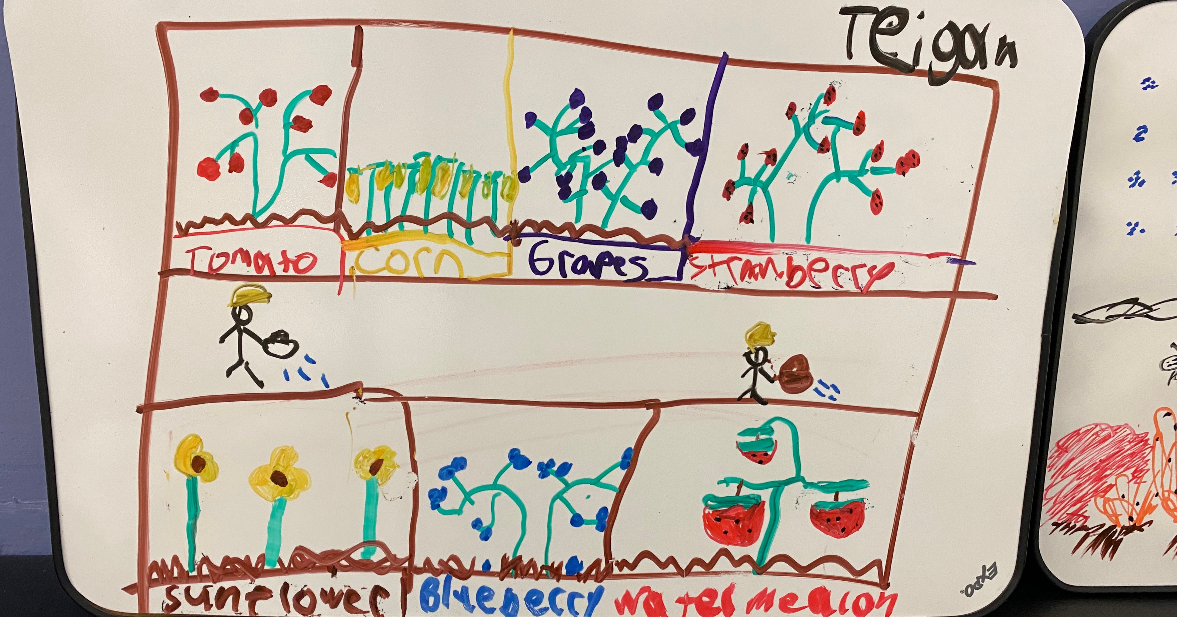 Blending Gardens and Geometry: Learning Area and Perimeter through Creative Design