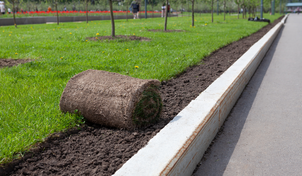 Elevate Your Lawn Care Routine: Expert Tips from The Turfgrass Group